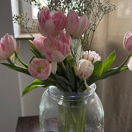 Einstein Appartement München